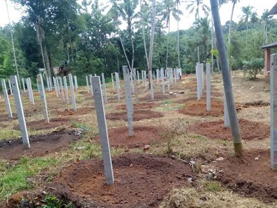 B3 Farm
