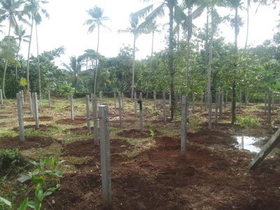 B3 Farm