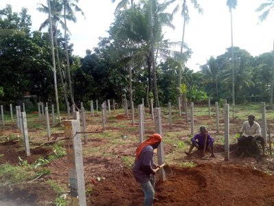 B3 Farm
