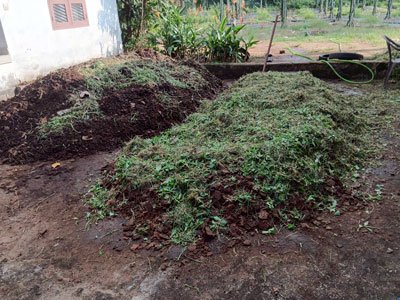 B3 Farm