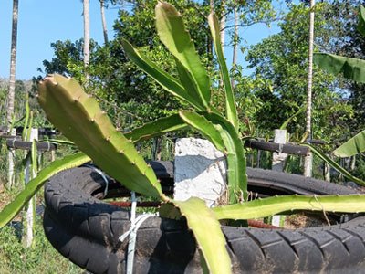 B3 Farm